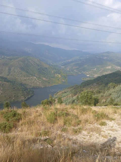 Terreno para Venda em Ruivães e Campos