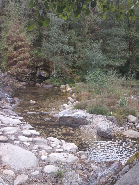 Terreno para Venda em Ruivães e Campos