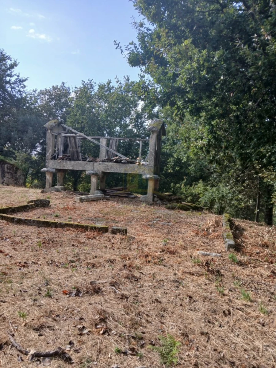 Terreno para Venda em Ruivães e Campos Foto 3