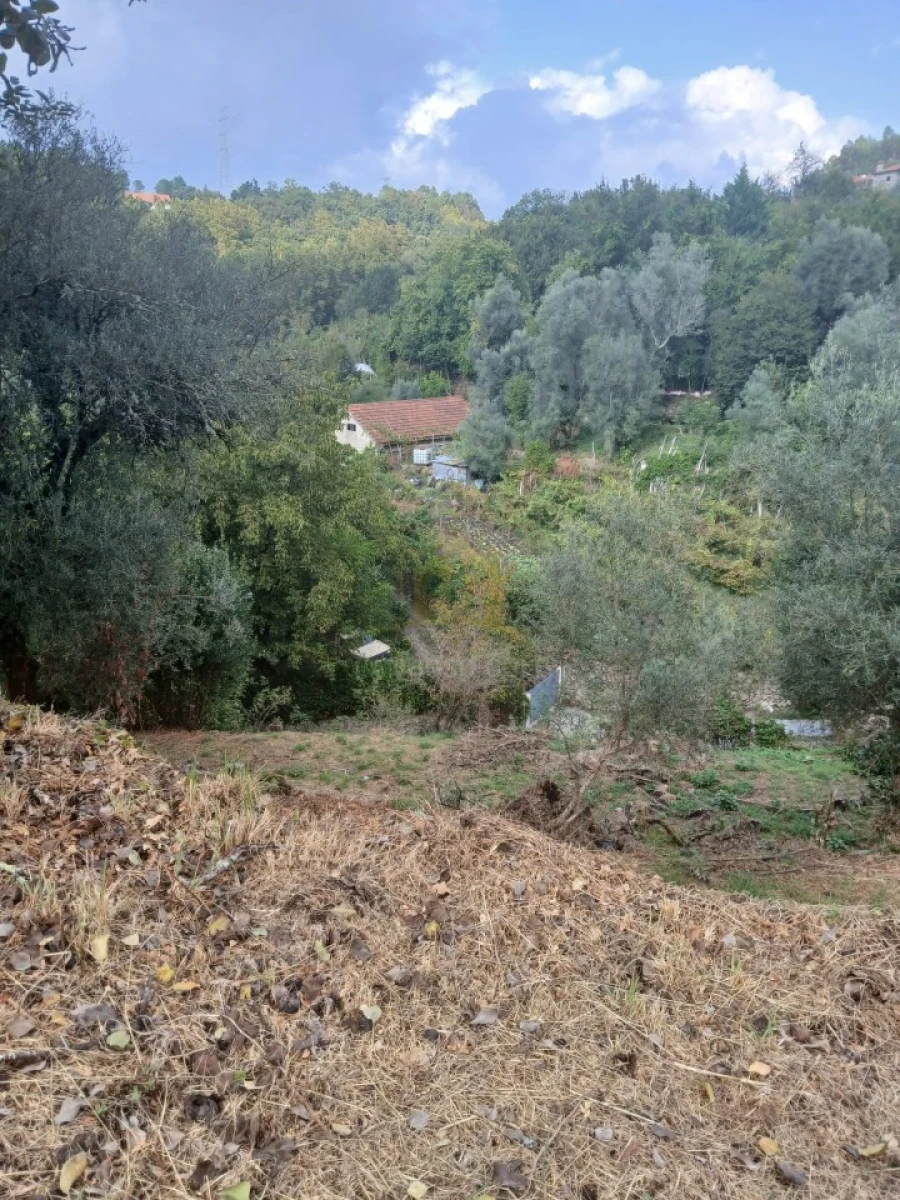 Terreno para Venda em Ruivães e Campos Foto 16
