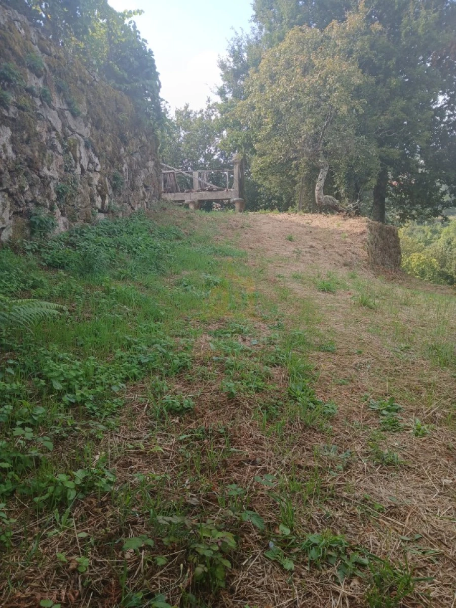 Terreno para Venda em Ruivães e Campos Foto 17
