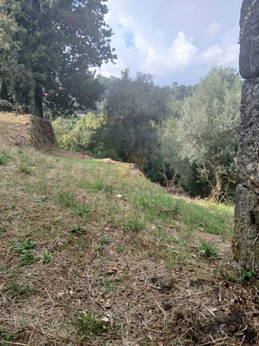 Terreno para Venda em Ruivães e Campos Foto 18