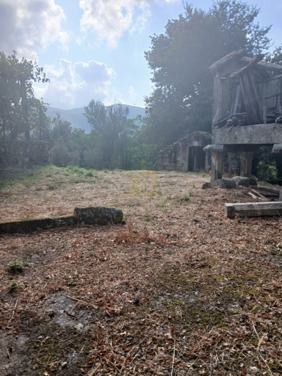 Terreno para Venda em Ruivães e Campos Foto 24