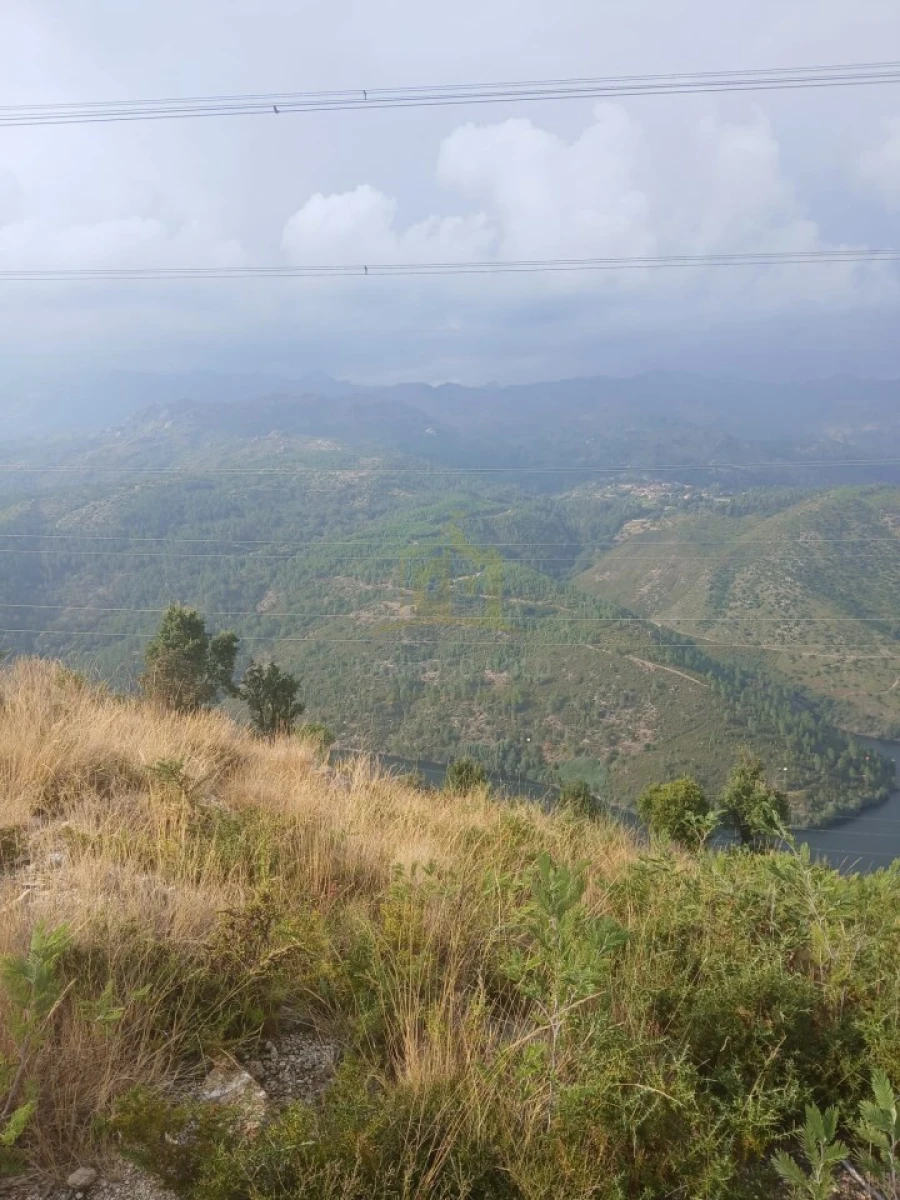 Terreno para Venda em Ruivães e Campos Foto 29