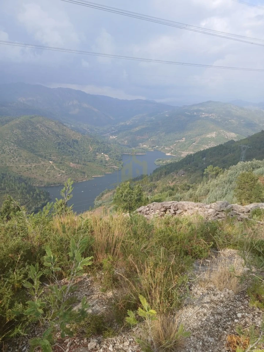 Terreno para Venda em Ruivães e Campos Foto 30