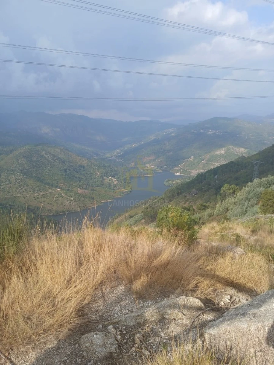 Terreno para Venda em Ruivães e Campos Foto 31