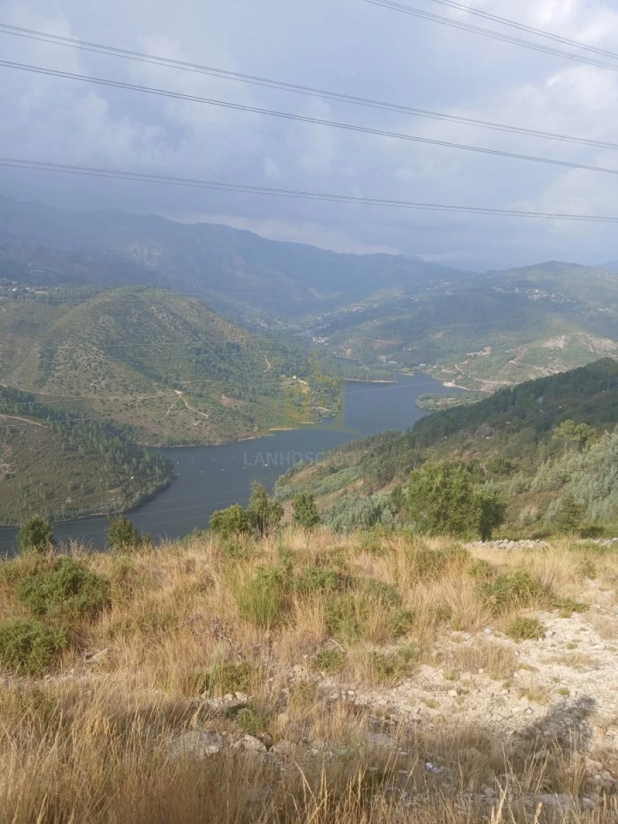 Terreno para Venda em Ruivães e Campos Foto 34