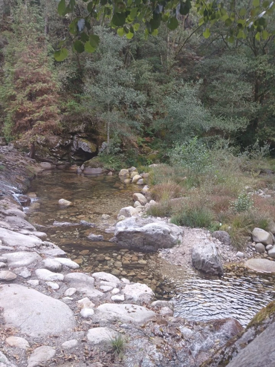 Terreno para Venda em Ruivães e Campos Foto 40