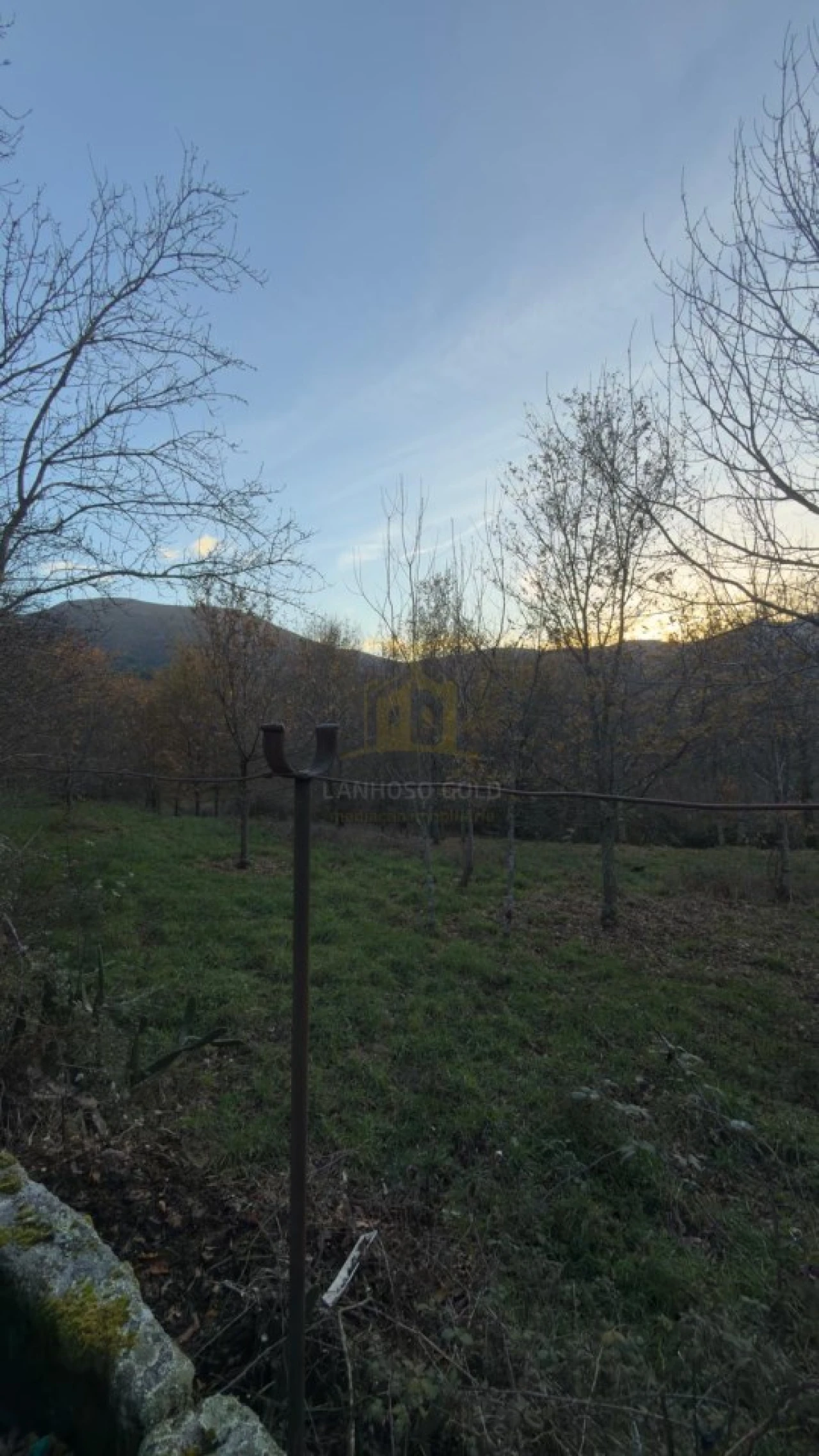 Terreno para Venda em Ruivães e Campos Foto 12