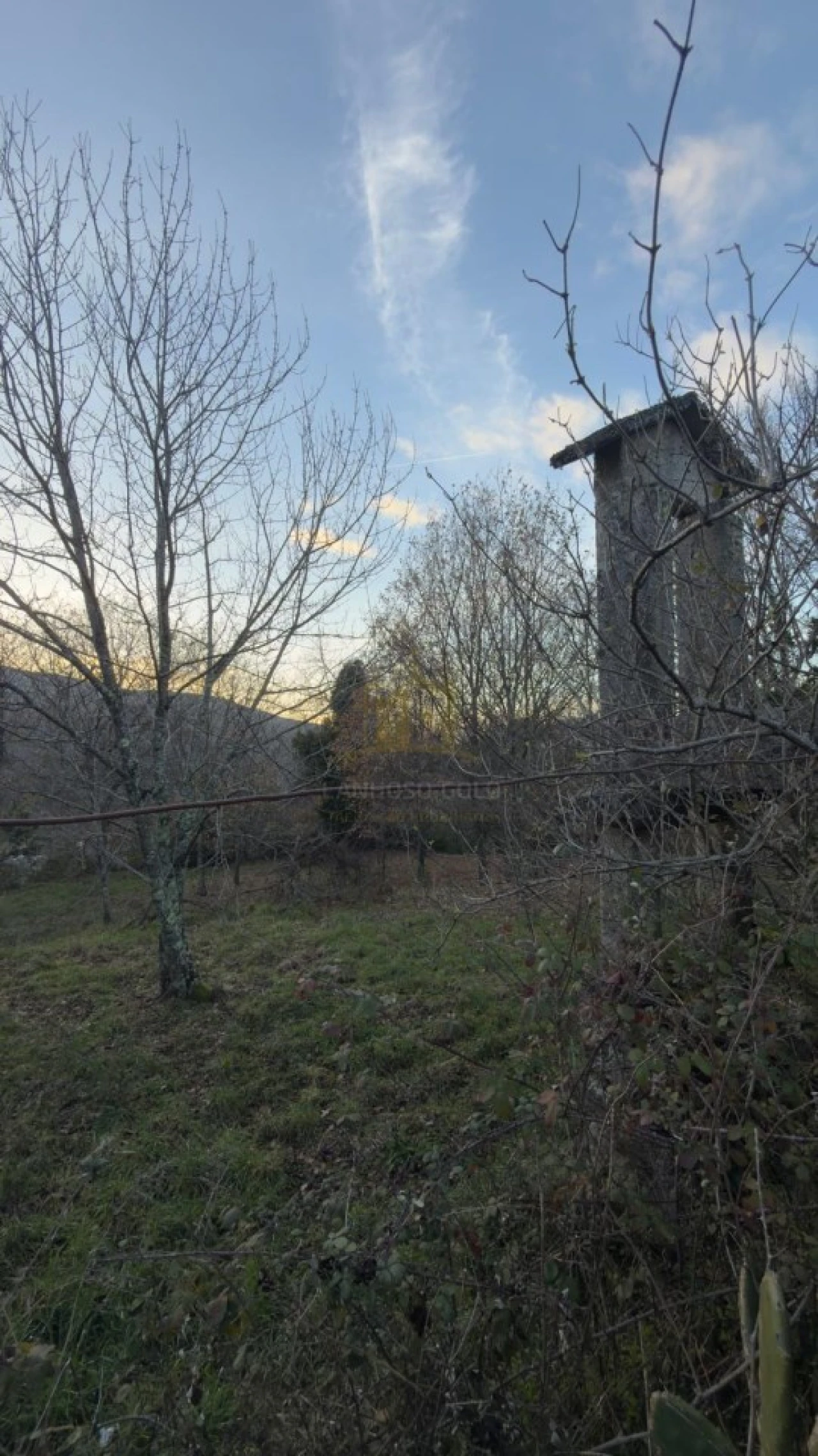 Terreno para Venda em Ruivães e Campos Foto 13