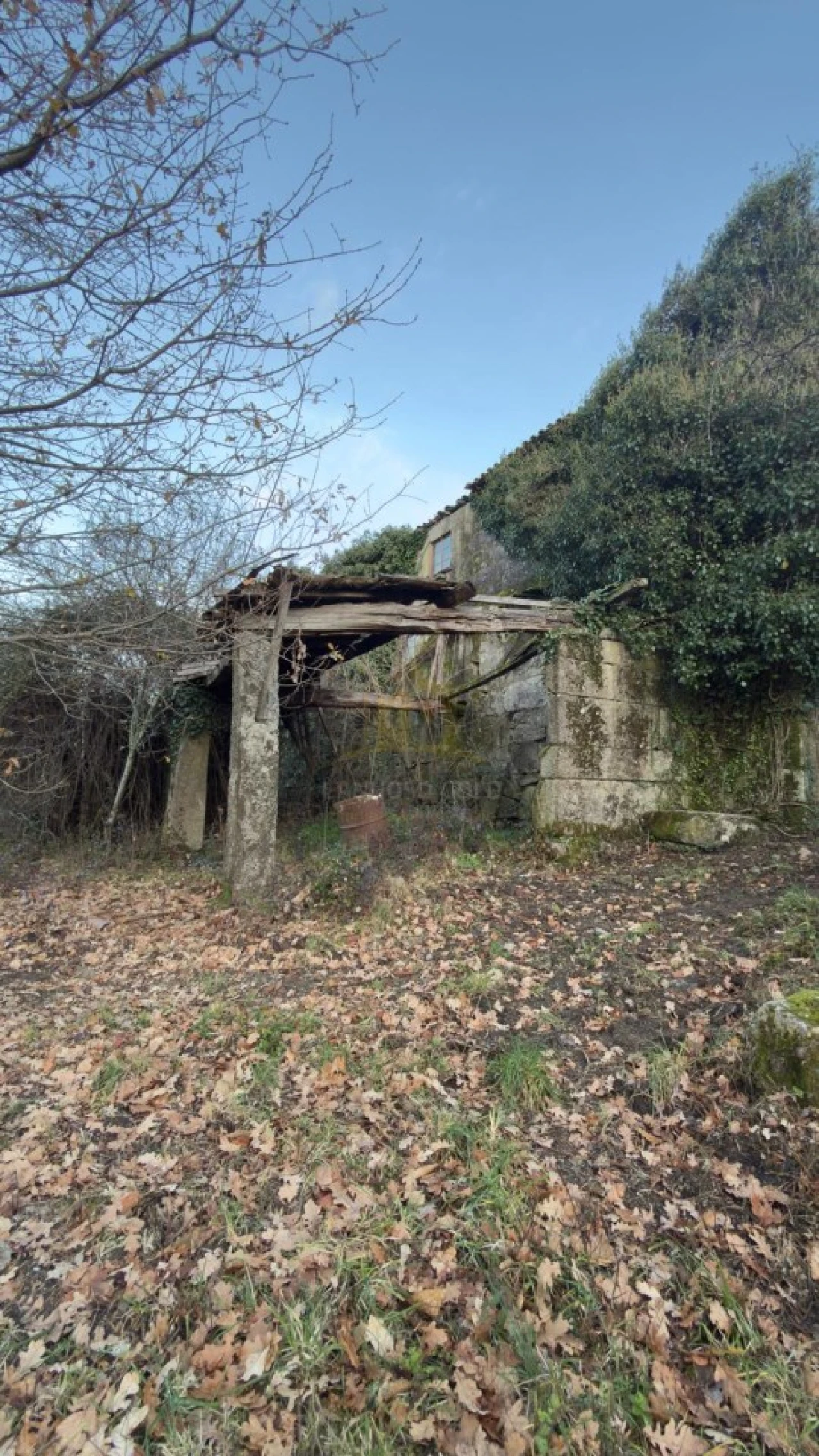 Terreno para Venda em Ruivães e Campos Foto 16
