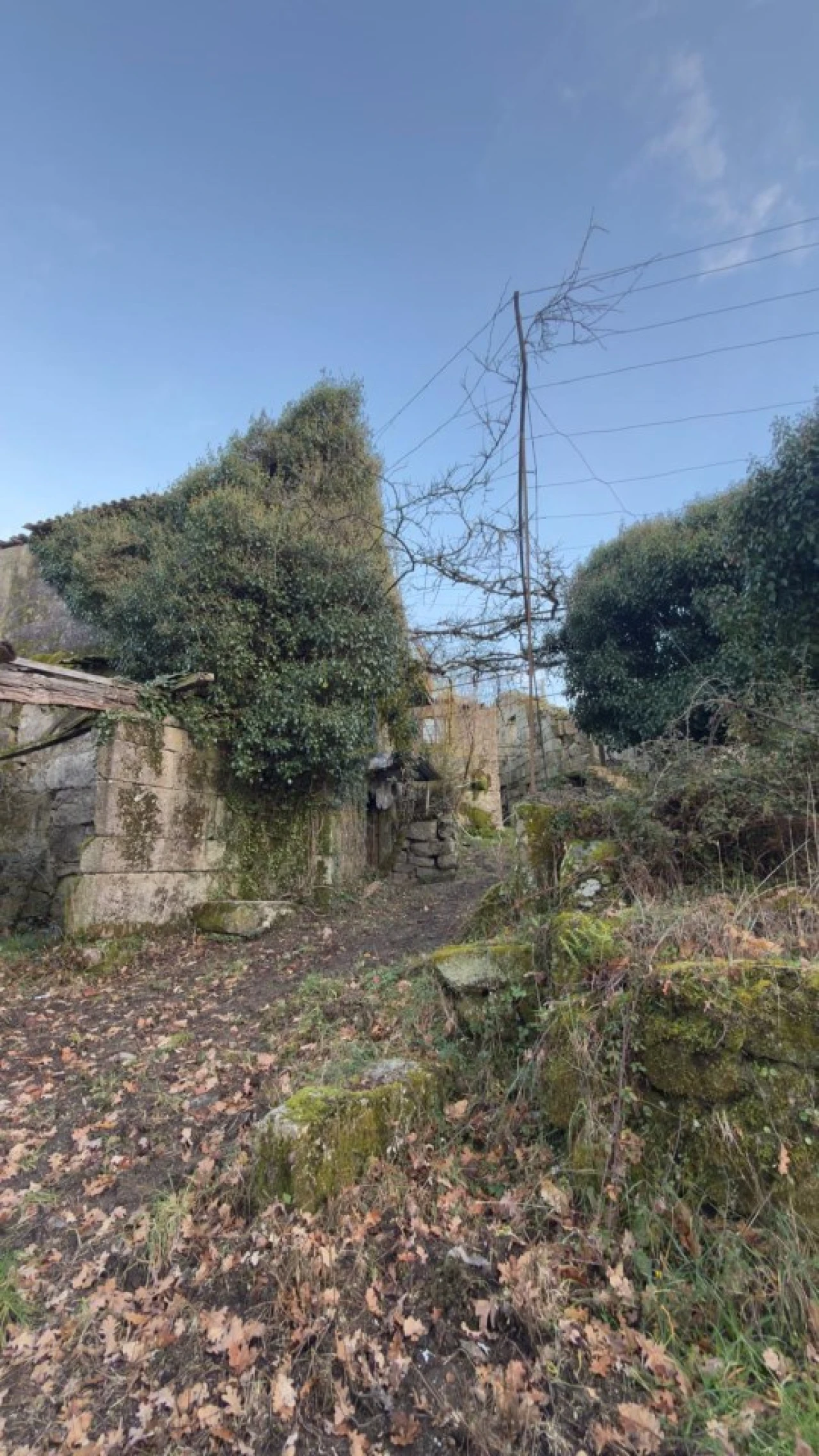 Terreno para Venda em Ruivães e Campos Foto 17