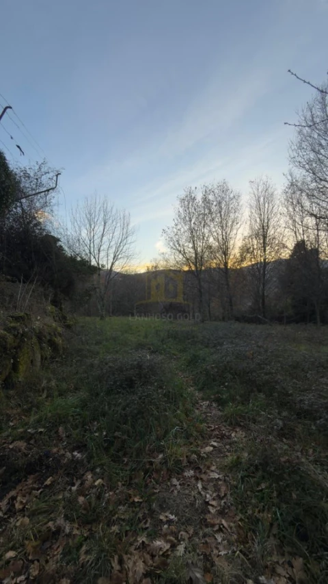 Terreno para Venda em Ruivães e Campos