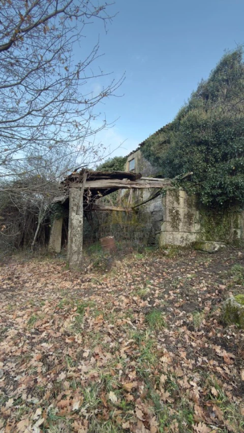 Terreno para Venda em Ruivães e Campos