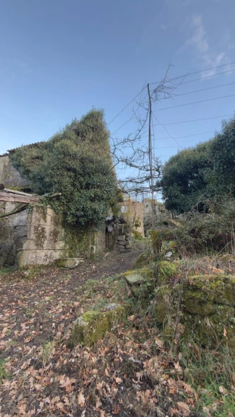 Terreno para Venda em Ruivães e Campos