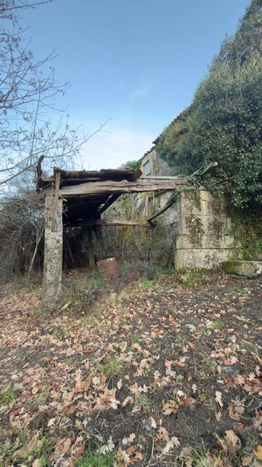 Terreno para Venda em Ruivães e Campos Foto 18
