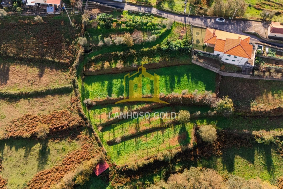 Terreno para Venda em Sobradelo da Goma Foto 6