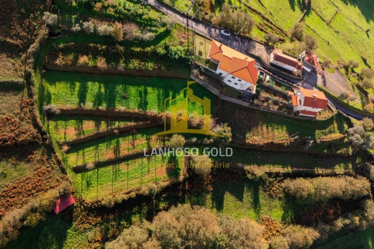 Terreno para Venda em Sobradelo da Goma Foto 4