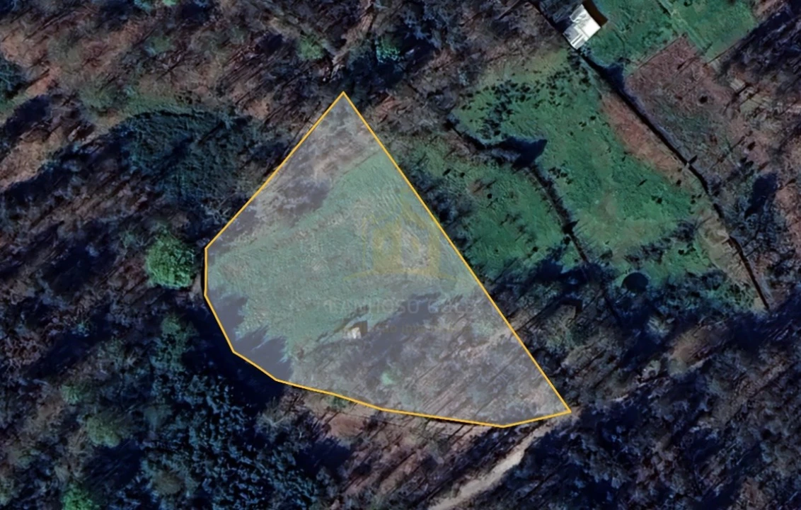 Terreno Agricola ou Rústico para Venda em Verim, Friande e Ajude Foto 3