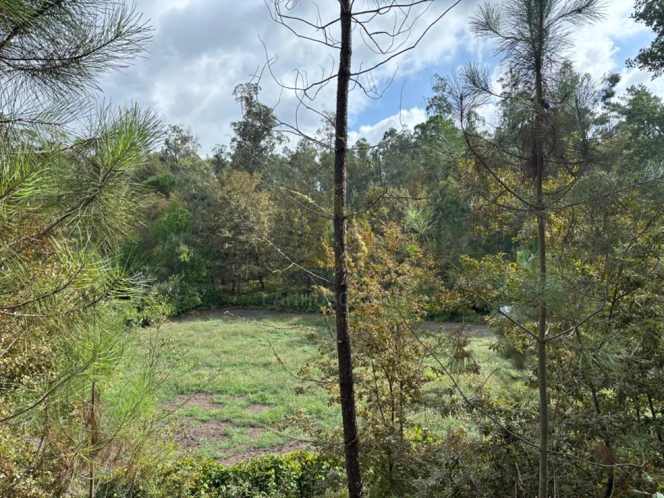Terreno Agricola ou Rústico para Venda em Verim, Friande e Ajude Foto 5