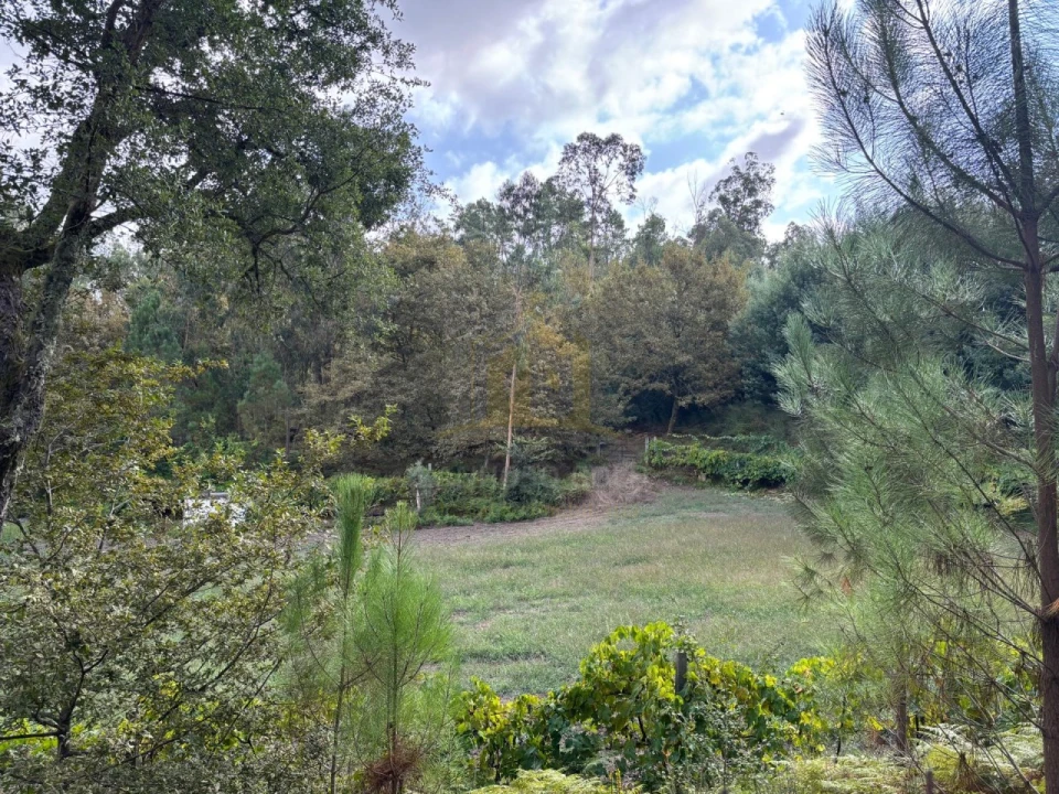 Terreno Agricola ou Rústico para Venda em Verim, Friande e Ajude Foto 6