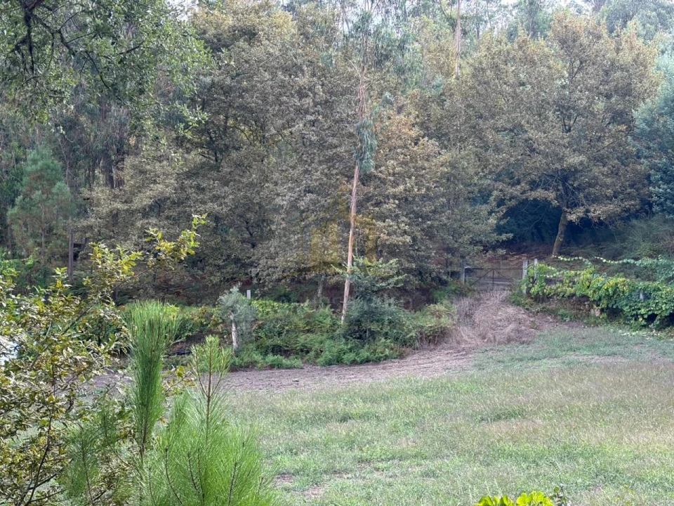 Terreno Agricola ou Rústico para Venda em Verim, Friande e Ajude Foto 7