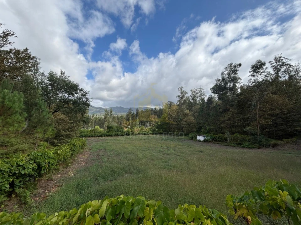 Terreno Agricola ou Rústico para Venda em Verim, Friande e Ajude Foto 8