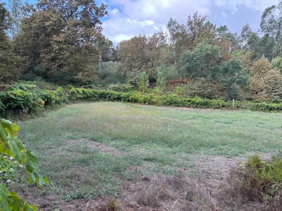 Terreno Agricola ou Rústico para Venda em Verim, Friande e Ajude Foto 10