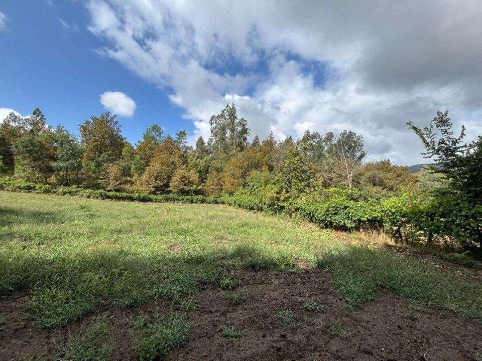 Terreno Agricola ou Rústico para Venda em Verim, Friande e Ajude Foto 17