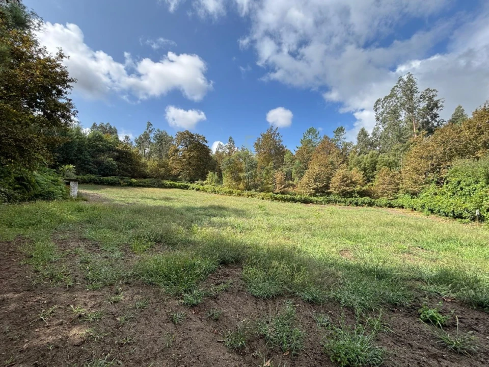 Terreno Agricola ou Rústico para Venda em Verim, Friande e Ajude Foto 18