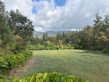 Terreno Agricola ou Rústico para Venda em Verim, Friande e Ajude