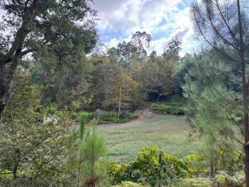 Terreno Agricola ou Rústico para Venda em Verim, Friande e Ajude
