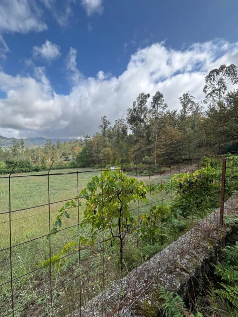 Terreno Agricola ou Rústico para Venda em Verim, Friande e Ajude