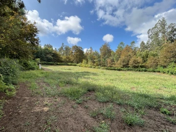 Terreno Agricola ou Rústico para Venda em Verim, Friande e Ajude