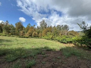 Terreno Agricola ou Rústico para Venda em Verim, Friande e Ajude