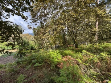 Terreno Agricola ou Rústico para Venda em Verim, Friande e Ajude