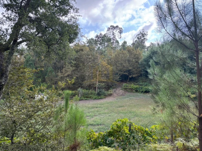 Terreno Agricola ou Rústico para Venda em Verim, Friande e Ajude Foto 6