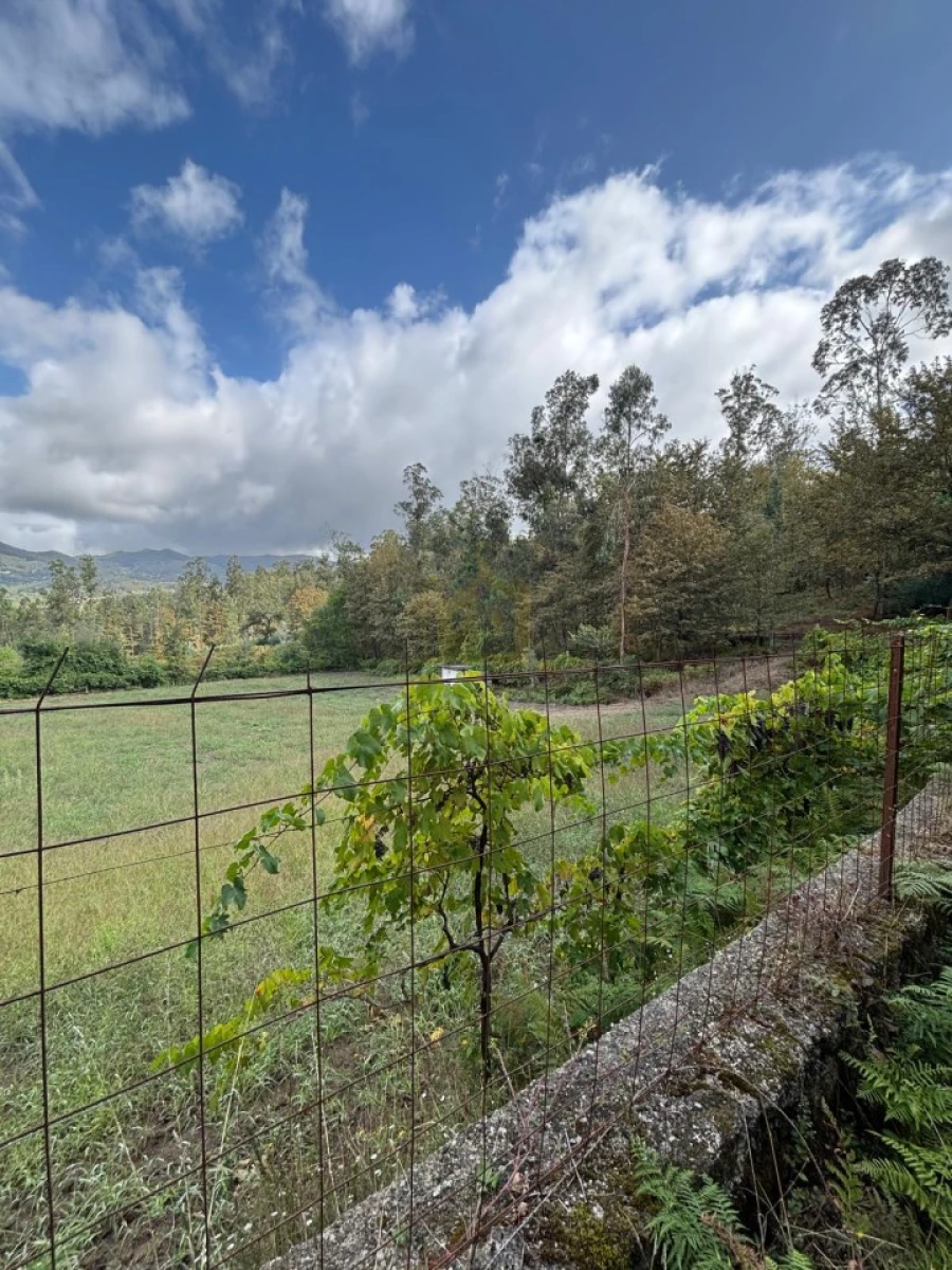 Terreno Agricola ou Rústico para Venda em Verim, Friande e Ajude Foto 9