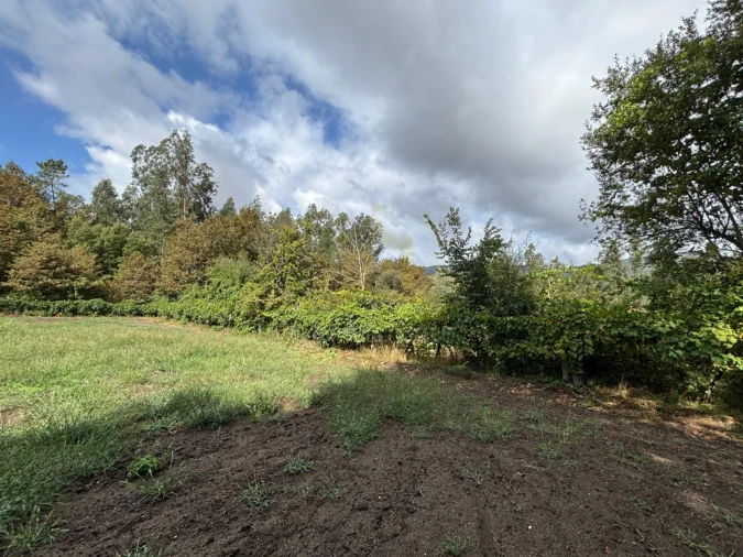 Terreno Agricola ou Rústico para Venda em Verim, Friande e Ajude Foto 16