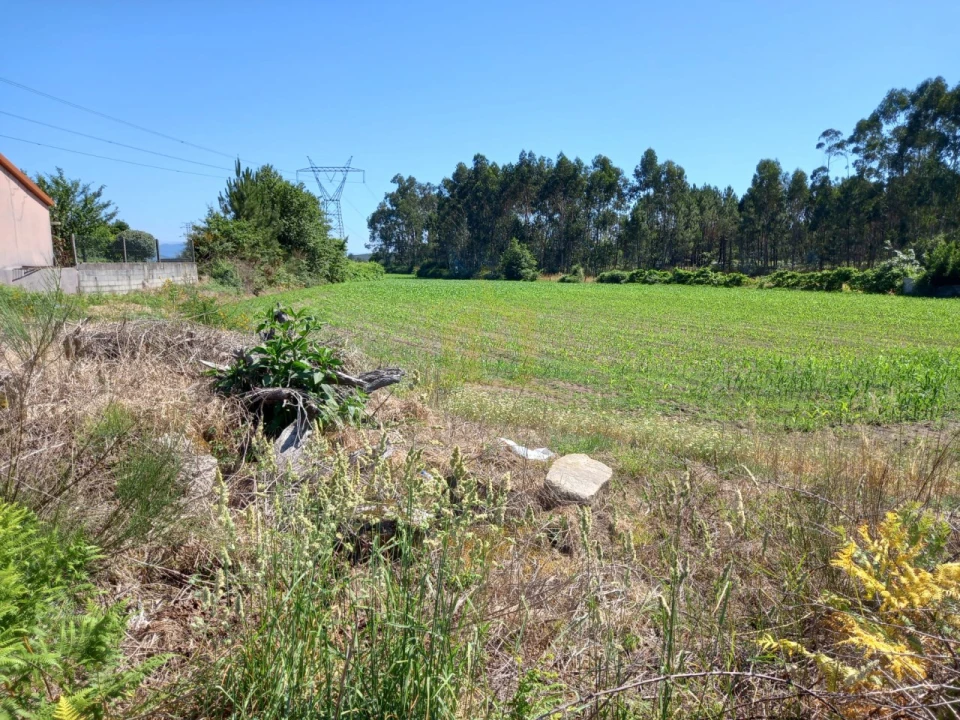 Terreno Agricola ou Rústico para Venda em Pedralva Foto 2
