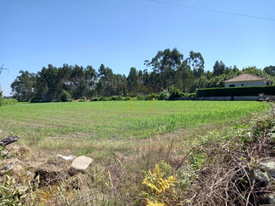 Terreno Agricola ou Rústico para Venda em Pedralva Foto 4