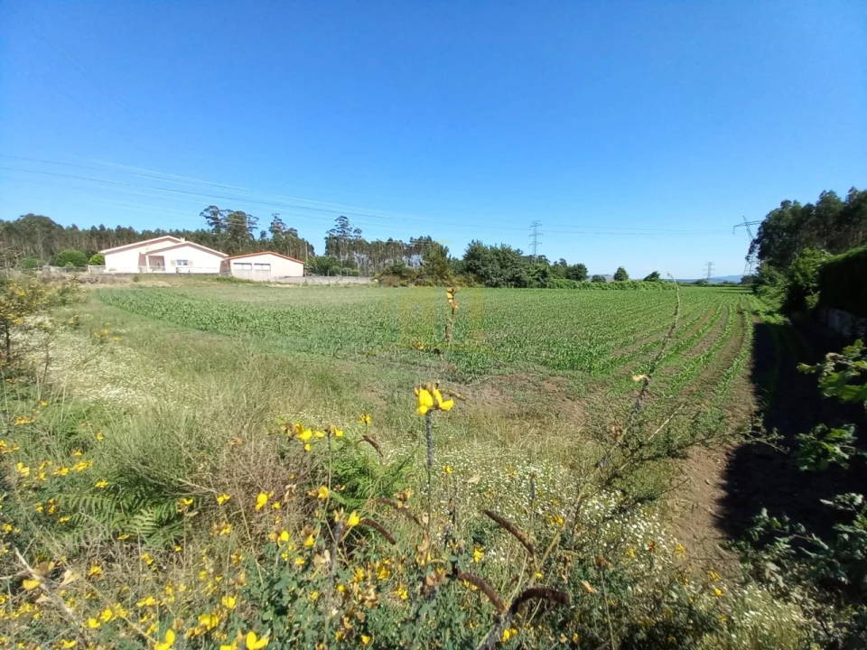 Terreno Agricola ou Rústico para Venda em Pedralva Foto 5