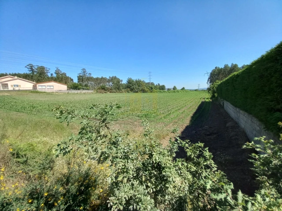 Terreno Agricola ou Rústico para Venda em Pedralva Foto 6