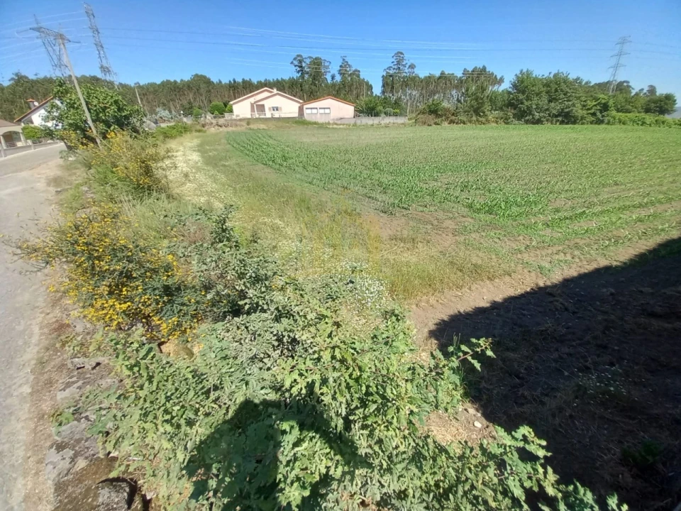 Terreno Agricola ou Rústico para Venda em Pedralva Foto 7