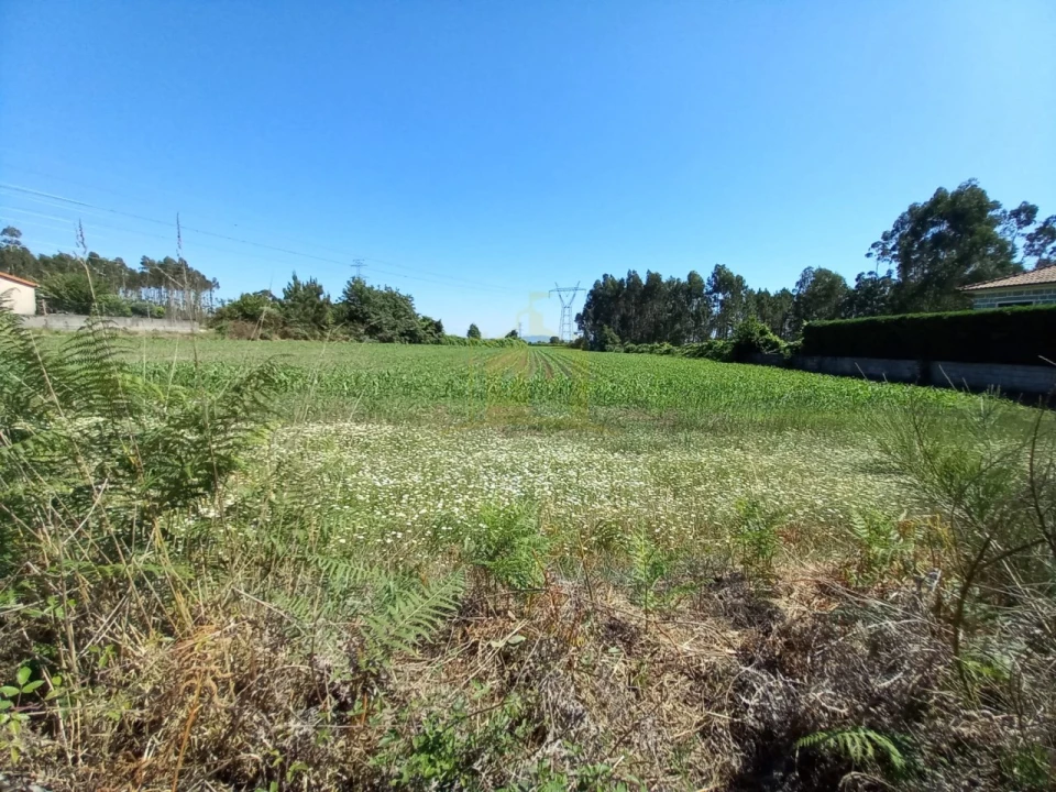 Terreno Agricola ou Rústico para Venda em Pedralva Foto 9
