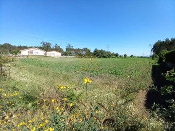 Terreno Agricola ou Rústico para Venda em Pedralva