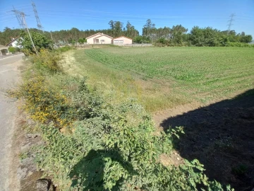 Terreno Agricola ou Rústico para Venda em Pedralva