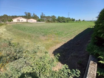 Terreno Agricola ou Rústico para Venda em Pedralva