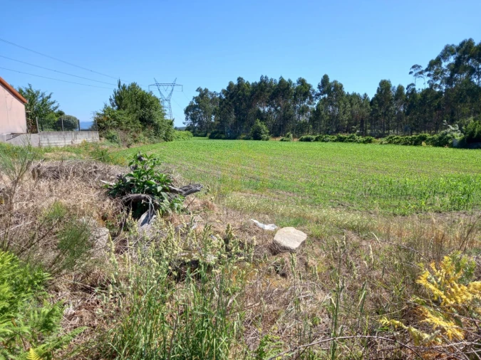 Terreno Agricola ou Rústico para Venda em Pedralva Foto 2