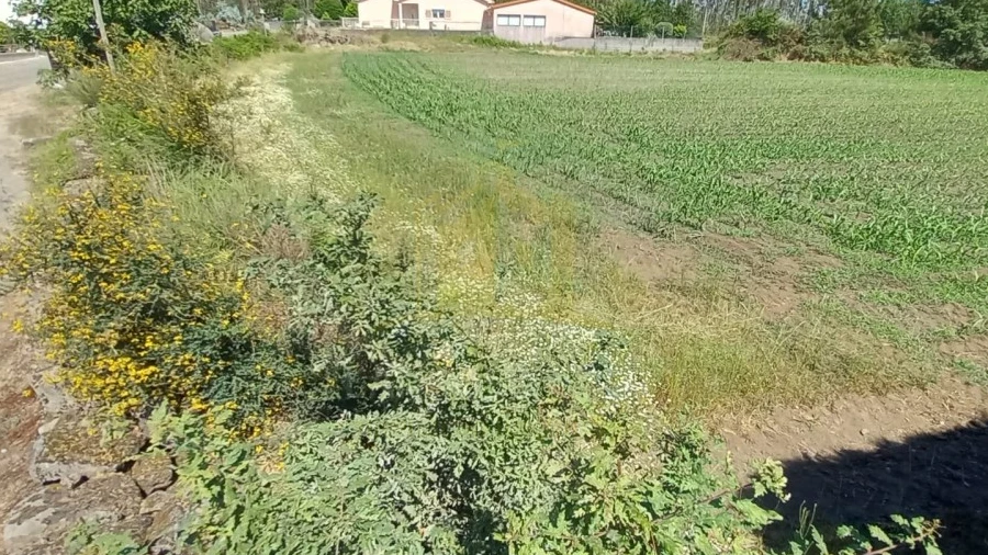 Terreno Agricola ou Rústico para Venda em Pedralva